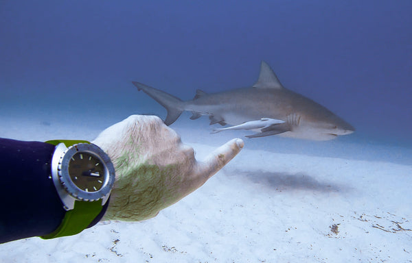 DOXA's Guide to Responsible Diving - DOXA Watches US